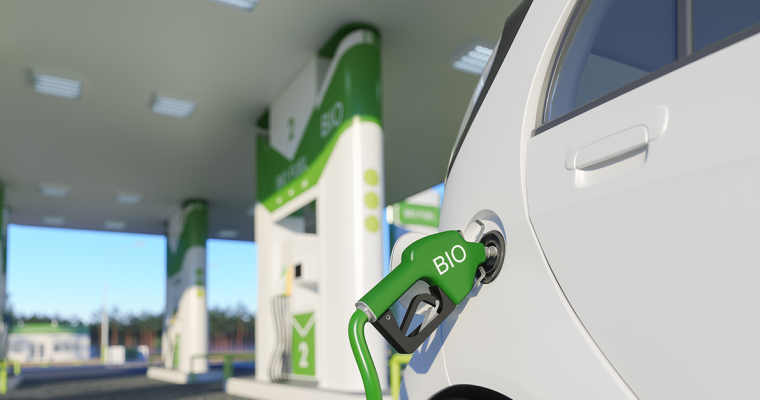The rise of biofuels