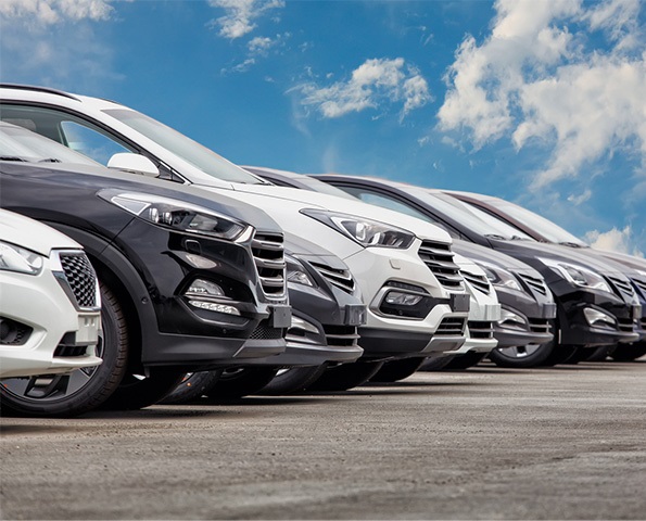 cars-for-sale-lined-up