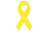 national-road-safety-week-logo
